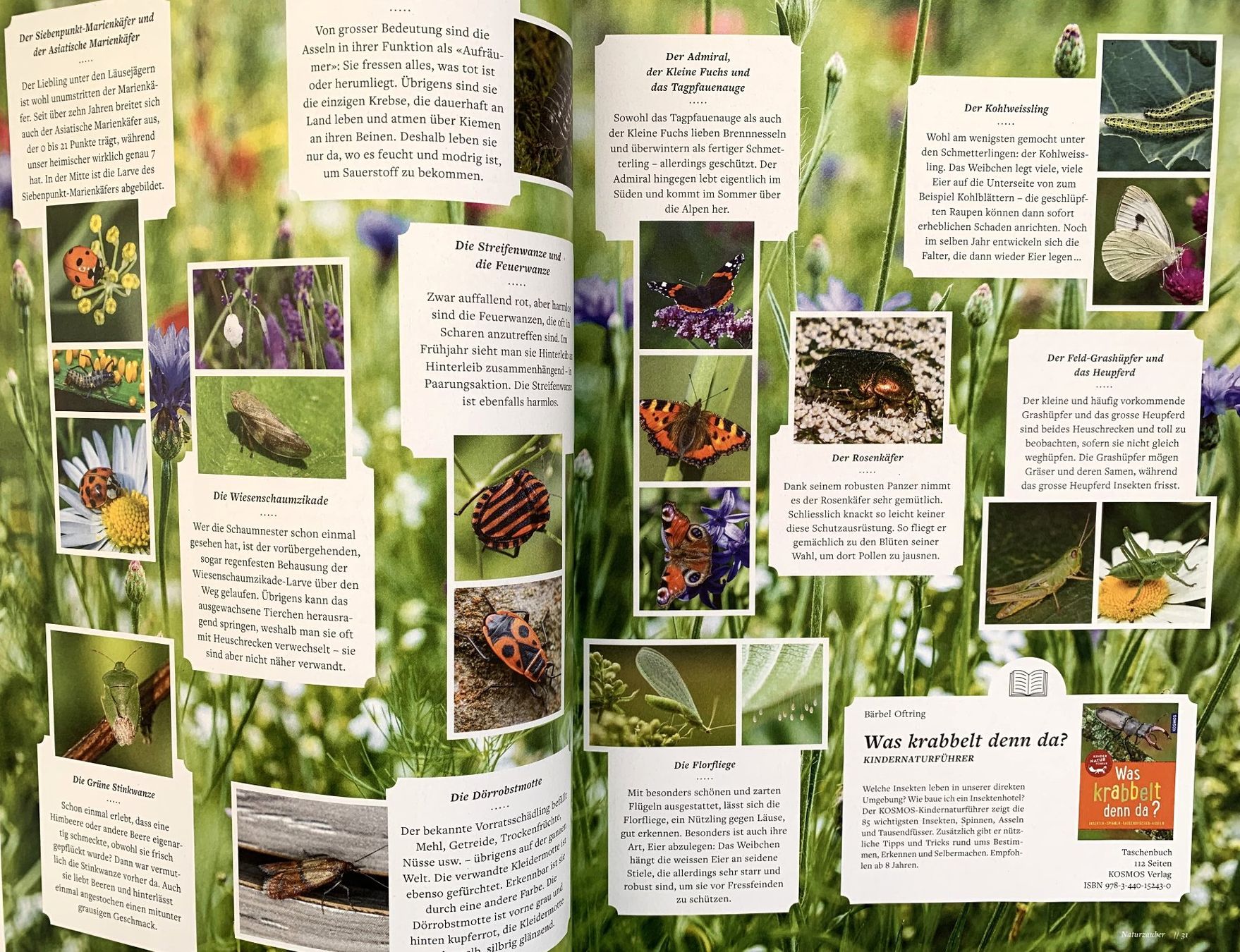 Riviste & Magazine: 2 Hefte: FREUDE AM GARTEN  -  EIN SCHWEIZER GARTENMAGAZIN – Nuovo e nell'imballaggio originale da Birsfelden venduto da Emporio82 3