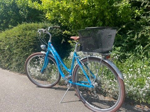 Canyon Biciclette: Damenvelo Canyon Silhouette hellblau / Retrobike – Usato da Dietlikon venduto da Gwundrix 4