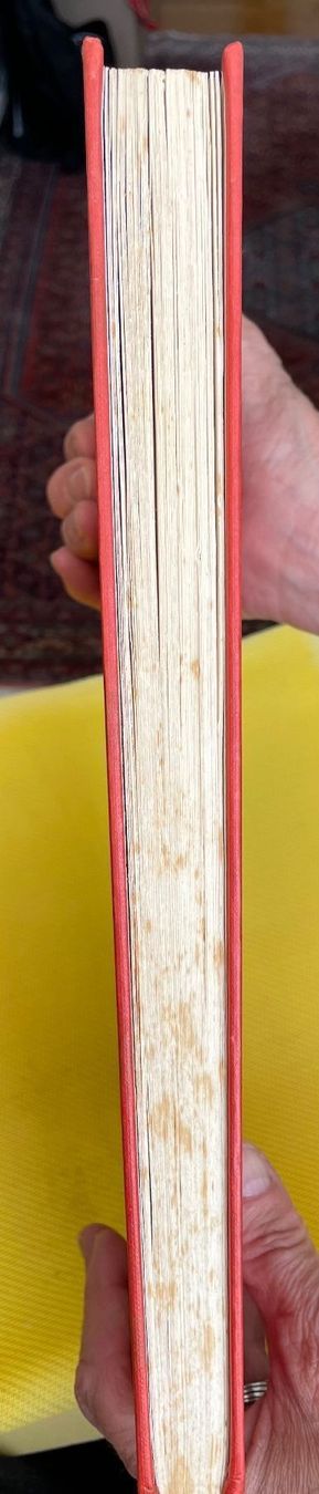 Libri: Buch Pinocchios Abenteuer Silva Verlag – Usato da Luzern venduto da Sontru 1