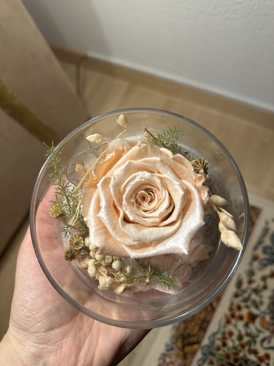 Tutte le decorazioni: Vase Glasglocke getrocknete Rose – Nuovo (secondo la descrizione) da Luzern venduto da ariazalea 4
