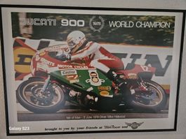 Bild Ducati Mike Hailwood