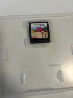 Crazy Pig (Nintendo DS)