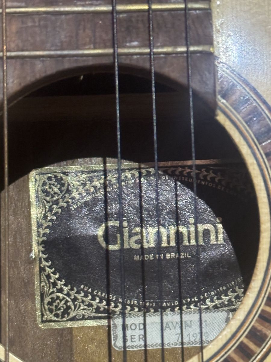 Giannini Strumenti musicali: Giannini AWN21(1979) – Usato da Hochdorf venduto da fla_hl9g 2