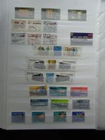 DDR 1981