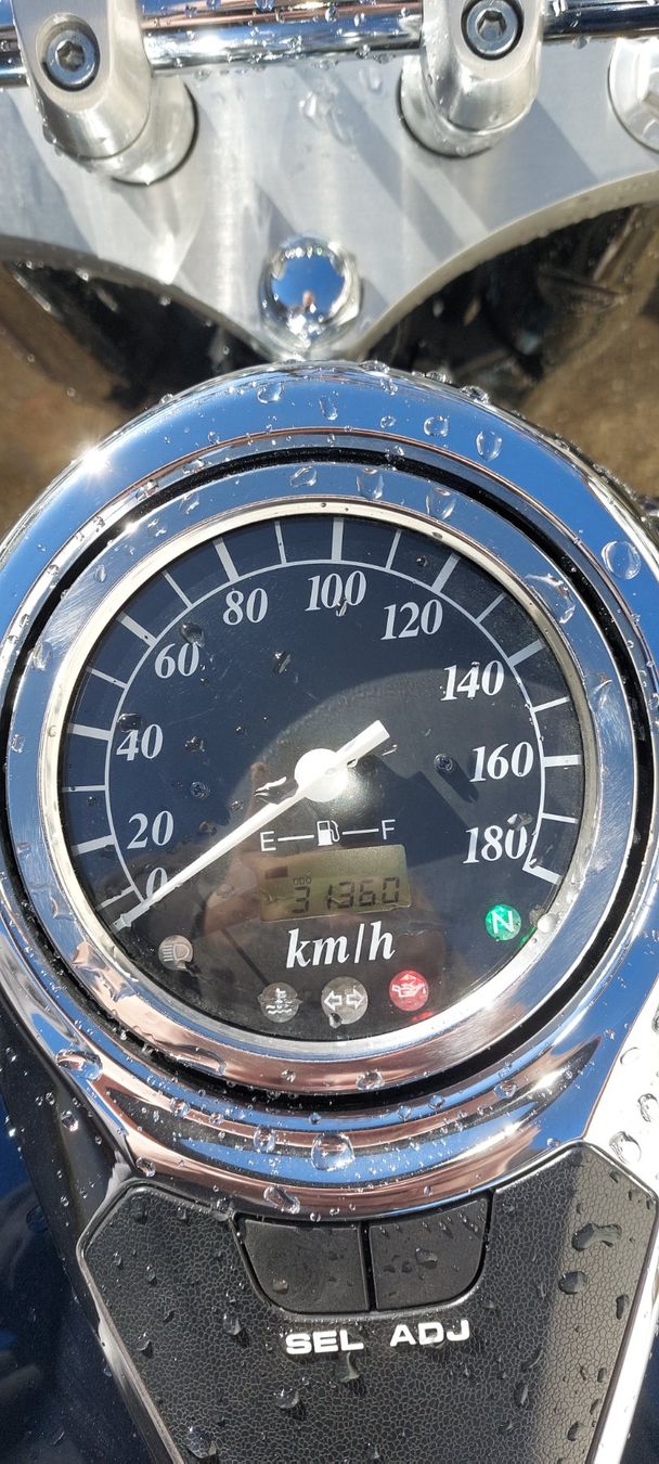 Suzuki Chopper: Suzuki VL 800 Intruder – Usato da Brislach venduto da ericCH 4