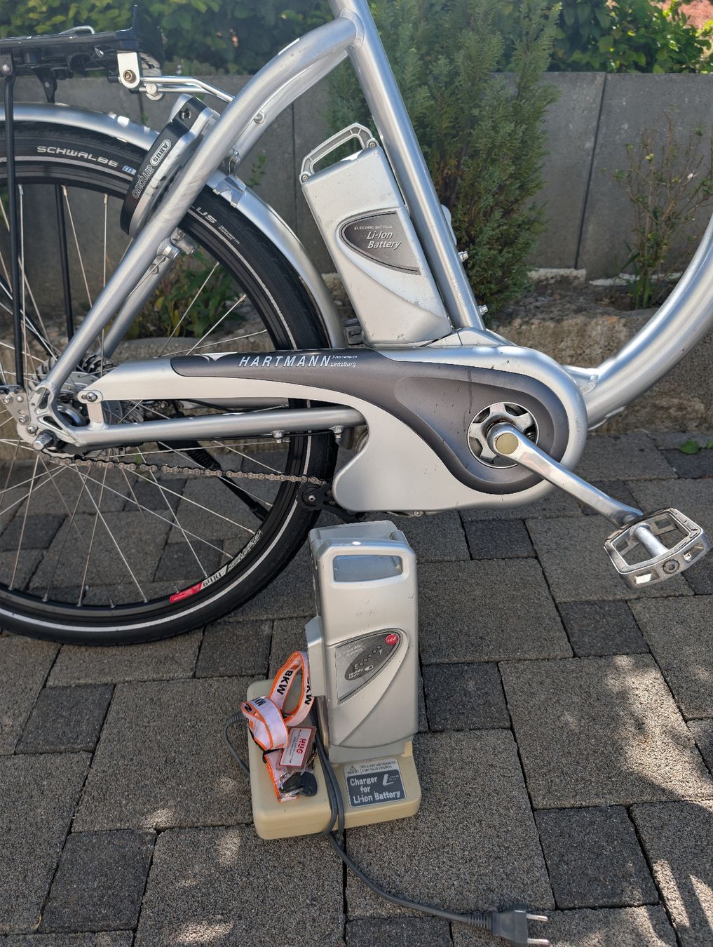 Flyer Velos: E-Bike Flyer C-Serie Tiefeinstieg – Gebraucht aus Menziken von ezadinho 6