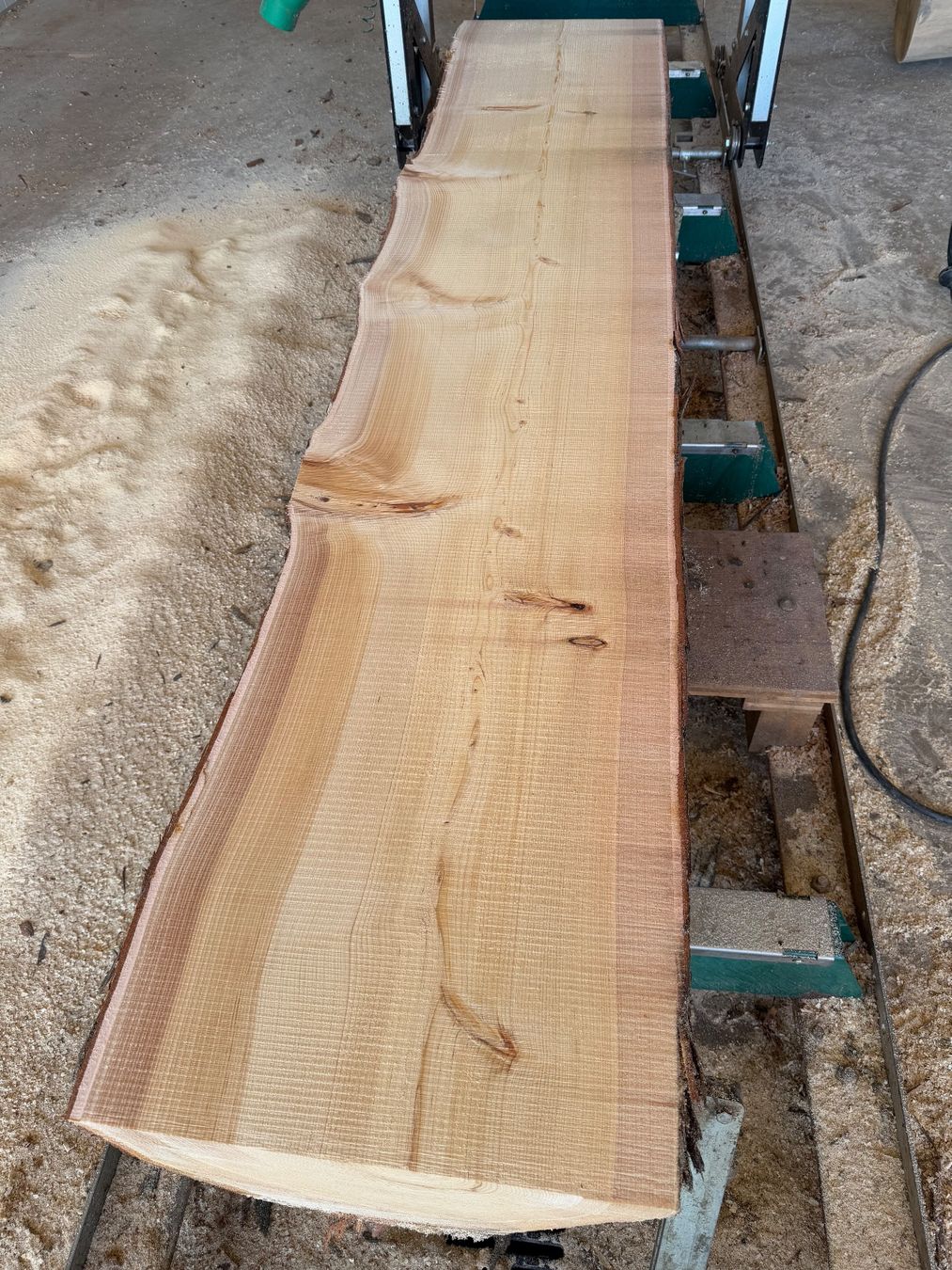 Articoli in legno: Thuja klotzbretter ganzer Stamm – Usato da Holziken venduto da Timbergrizzly 3
