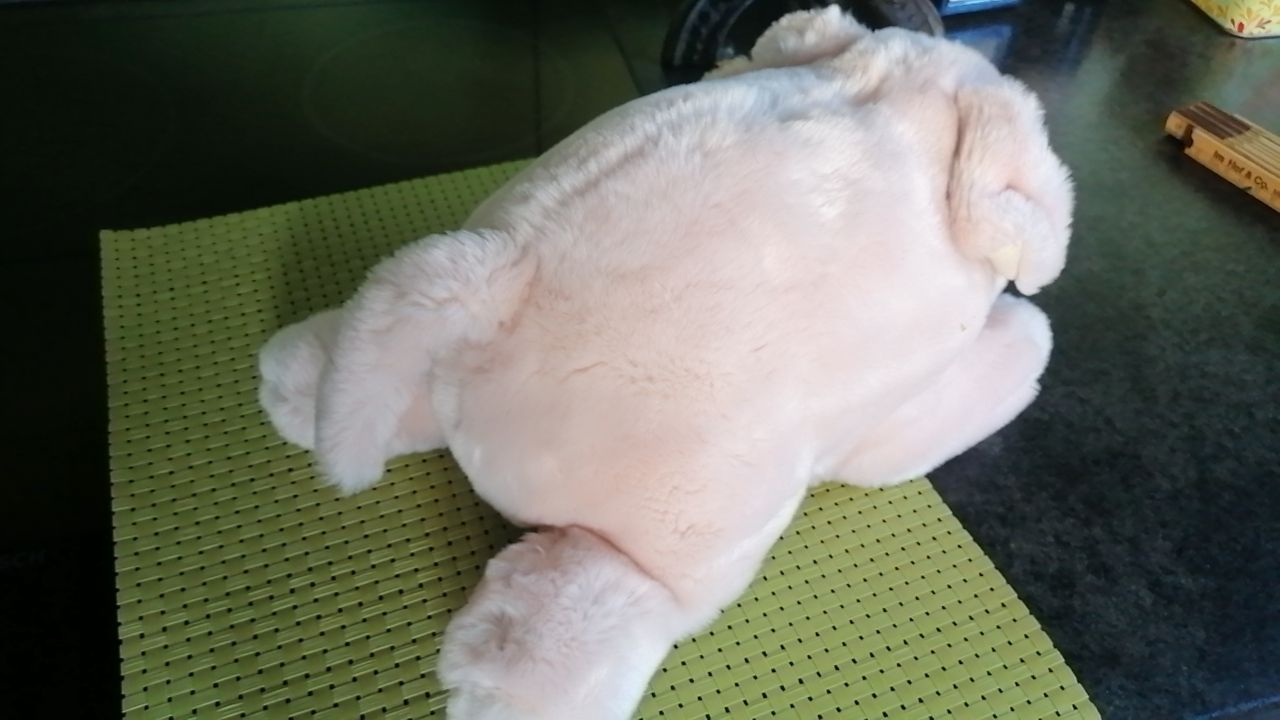 Steiff Giocattoli: Steiff Schwein gross – Usato da Biberist venduto da troedlerheinz 4