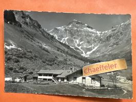 1954 12687 Alp Spielboden bei Möhren, Schilthorn. 