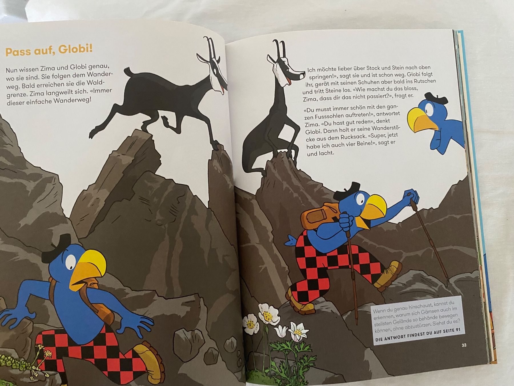 Libri: GLOBI IN DER BERGWELT UNBEMALT – Usato da Zürich venduto da Fashionparade 5