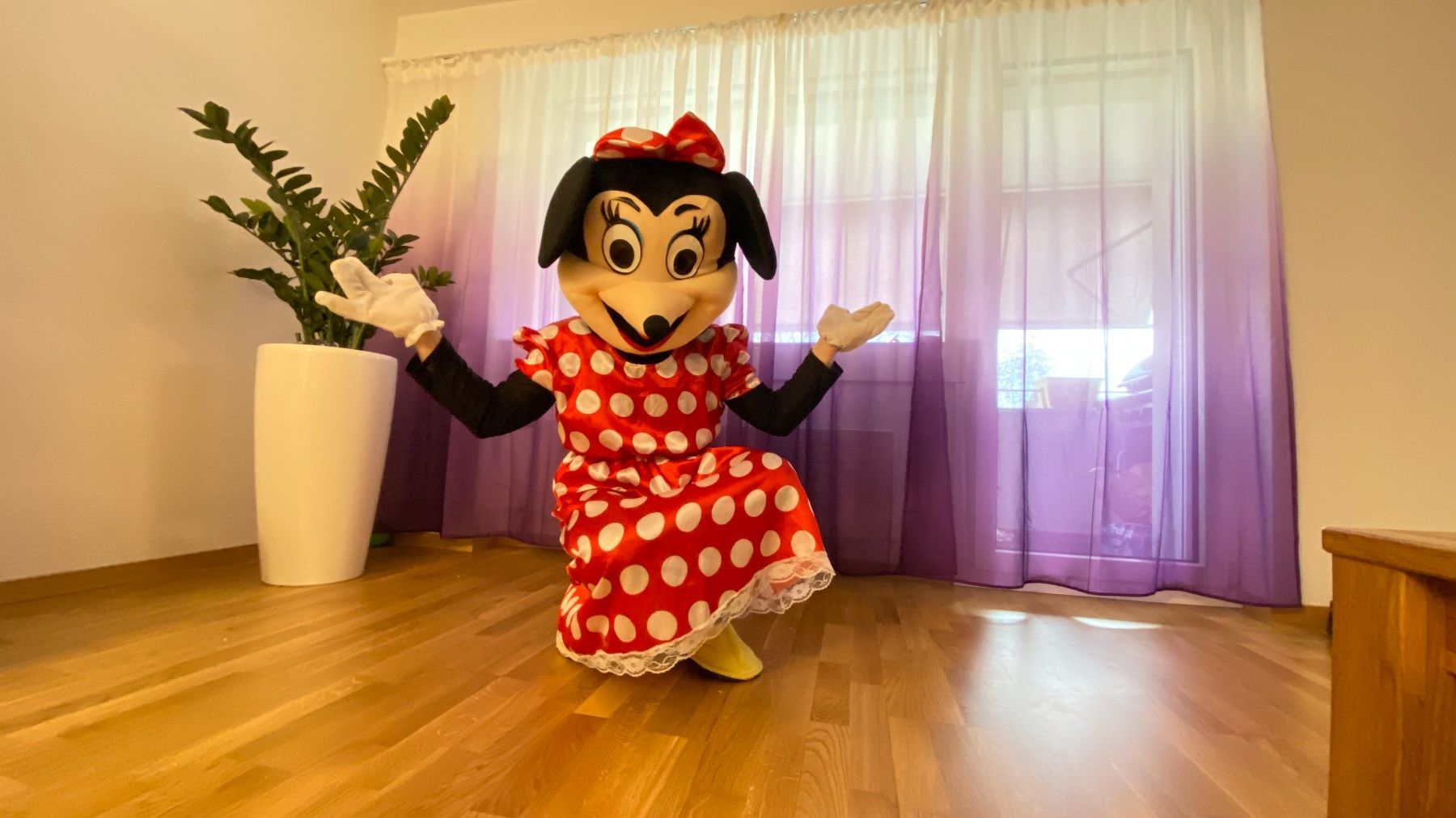 Costumi: Maskottchen Miete 1Woche – Usato da Burgdorf venduto da eins-A 2