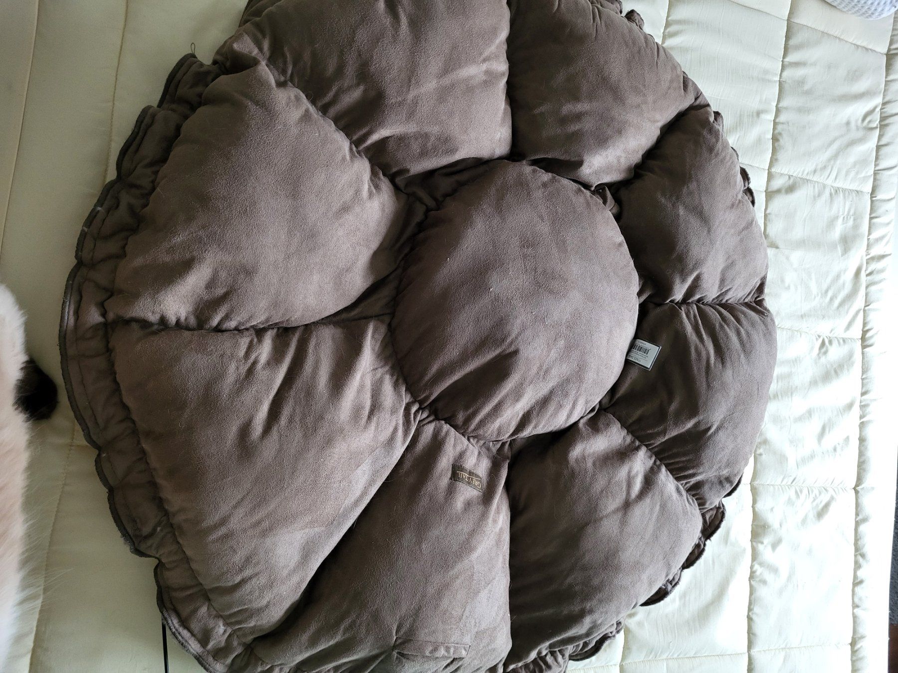 Cucce & Letti: Kuscheliges Katzenbett / Hundebett – Usato da Eschenbach SG venduto da Mr.PP-Green 3