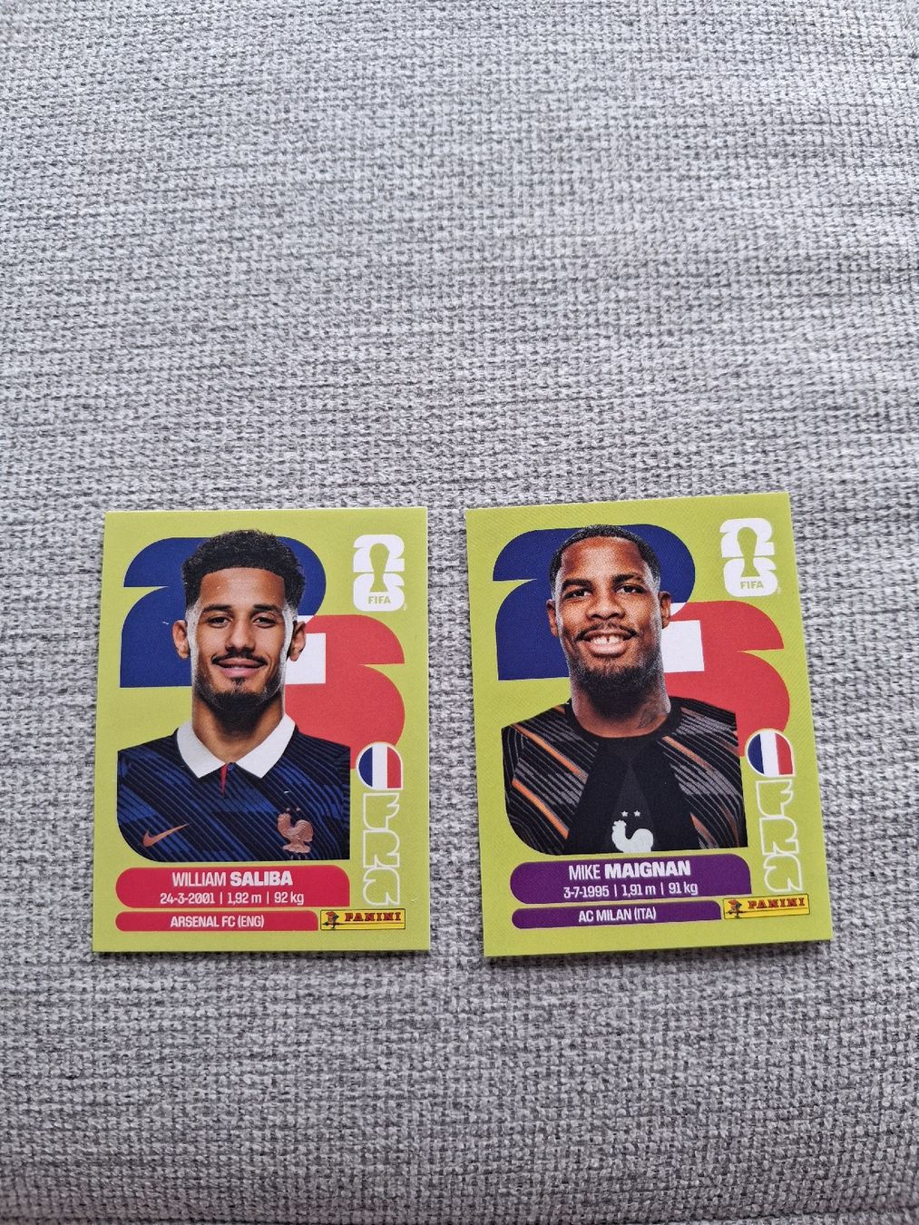 Panini Carte collezionabili: Panini Frankreich Duo – Nuovo (secondo la descrizione) da St. Gallen venduto da Nitrol910