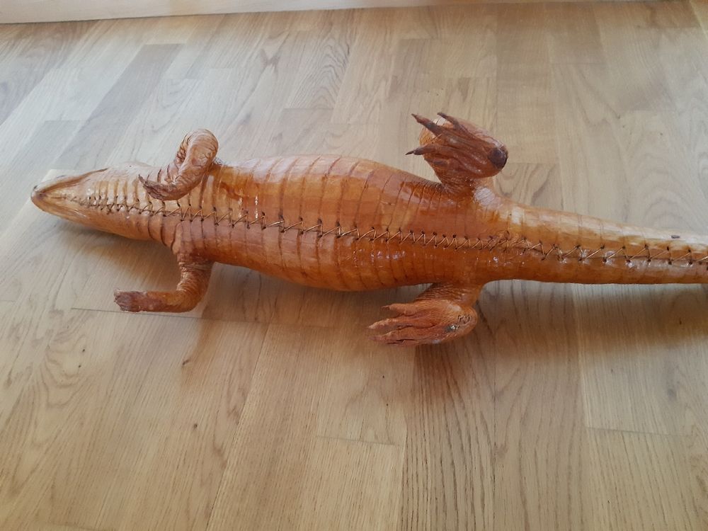 Kaiman Alligator Krokodil | Kaufen auf Ricardo