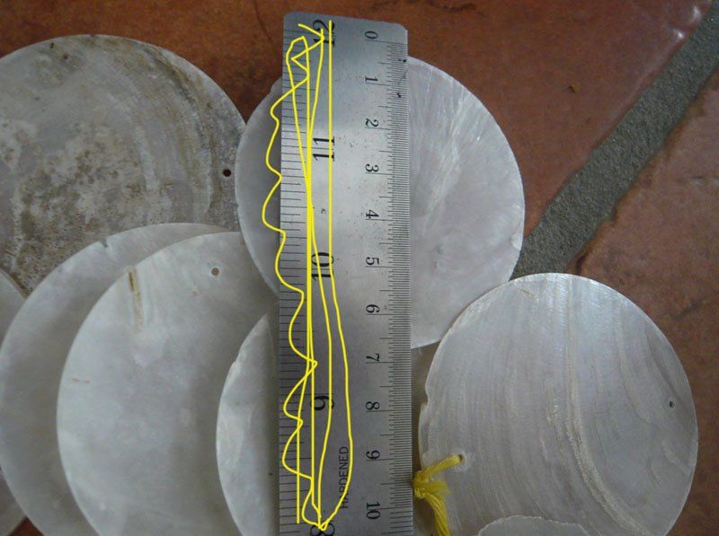 Kit bricolage: Basteln-Material / Muscheln-Schalen / Deko-Material – Nuovo (secondo la descrizione) da Ruggell venduto da Btt 1