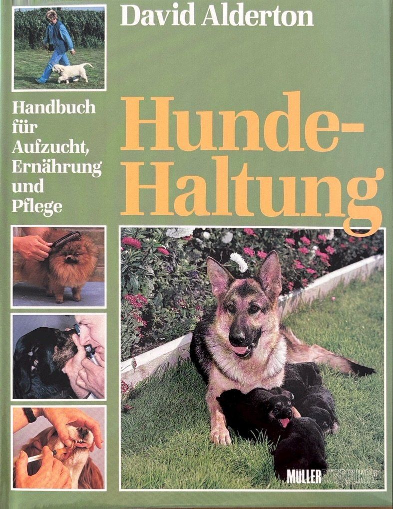 Libri: Hundehaltung – Nuovo e nell'imballaggio originale da Sarnen venduto da Livres
