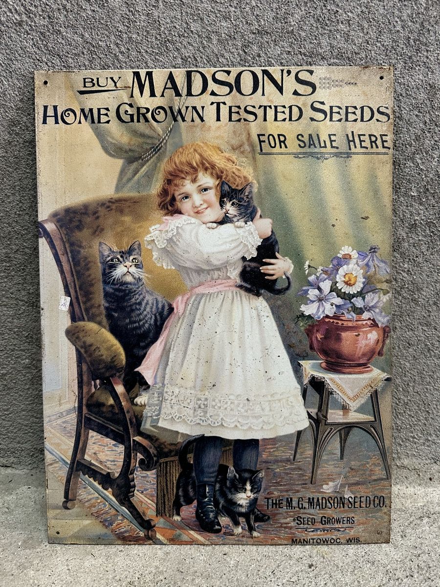 Schilder: Madsons kind katze – Gebraucht aus Reinach AG von rares75