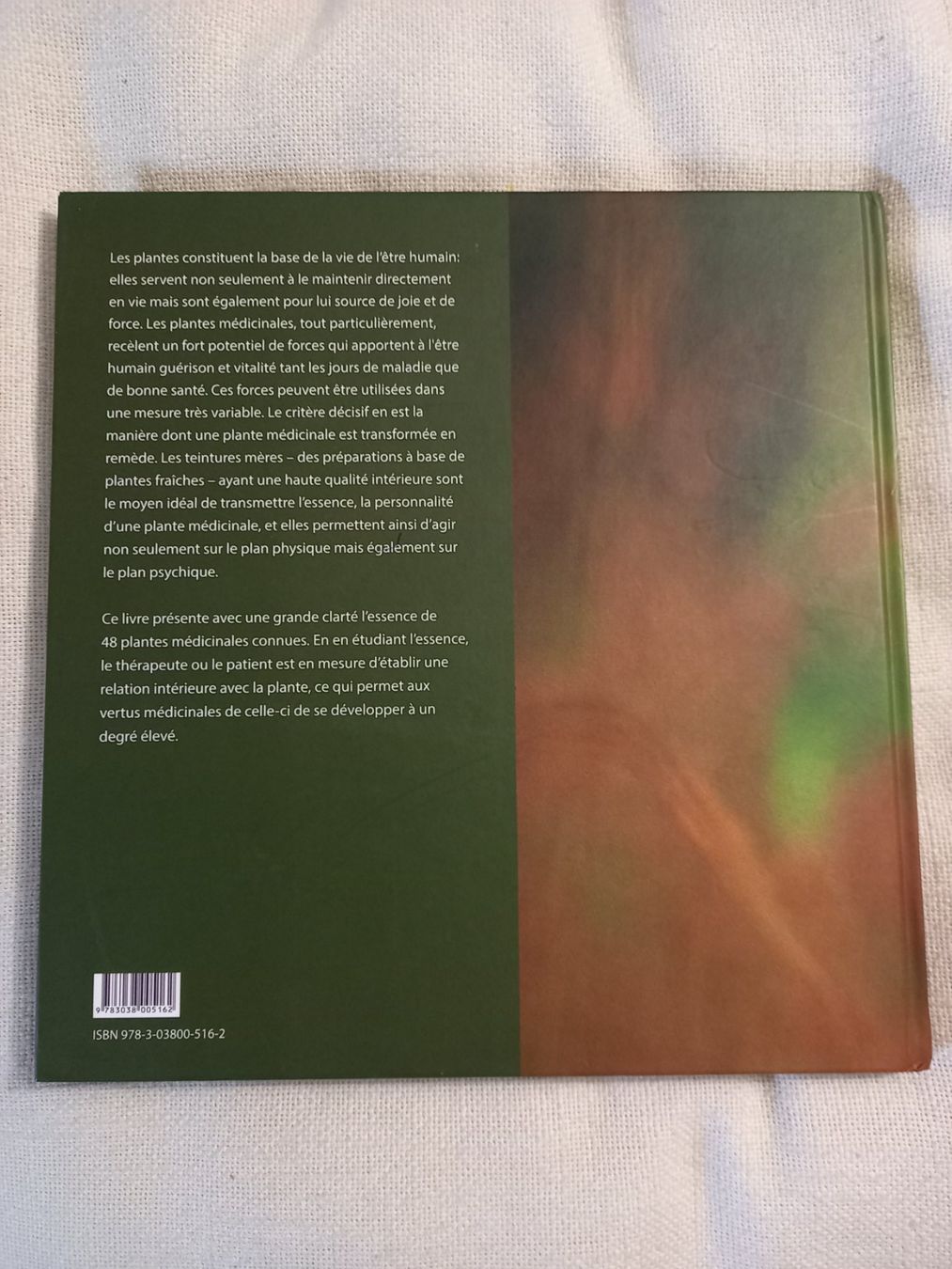 Libri: Teintures mères végétales - Essence et utilisation – Usato da Neuchâtel venduto da Dualseele 3