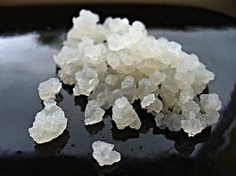 Kefir / Wasserkefir / Japankristalle
