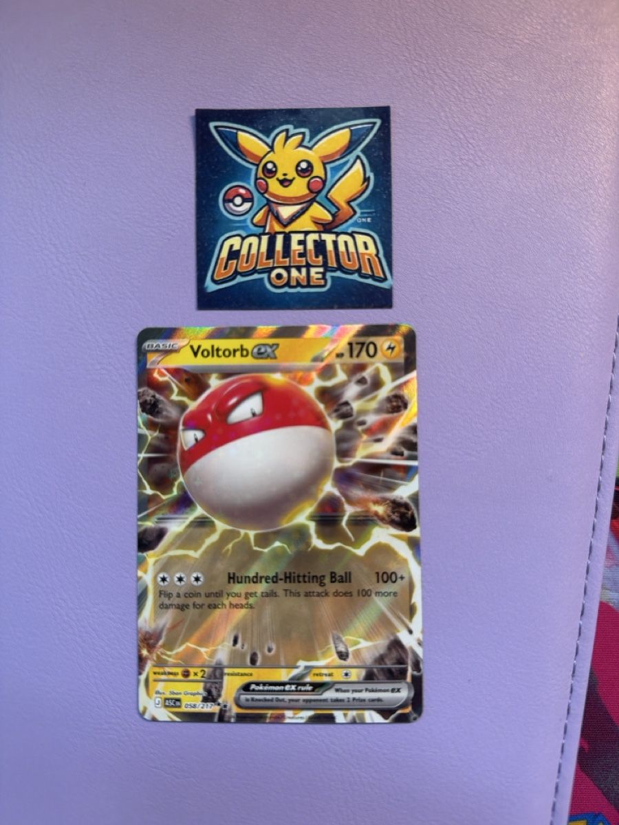 Pokémon Carte collezionabili: Pokemon Voltorb EX Selten Mega schön – Usato da Lommiswil venduto da CollectorOne