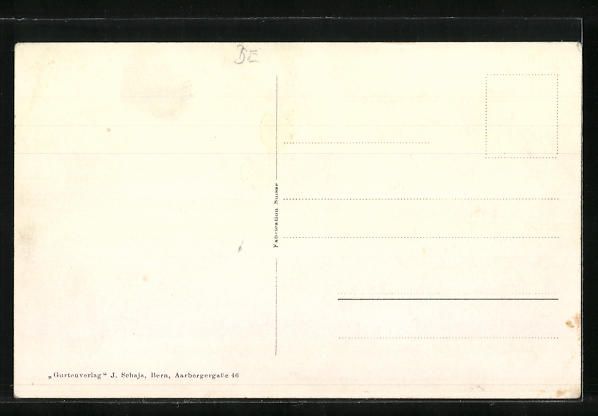 Cartoline postali: Neuenegg, Teilansicht mit Brücke und Fa – Usato da Berlin venduto da bartko-reher 1