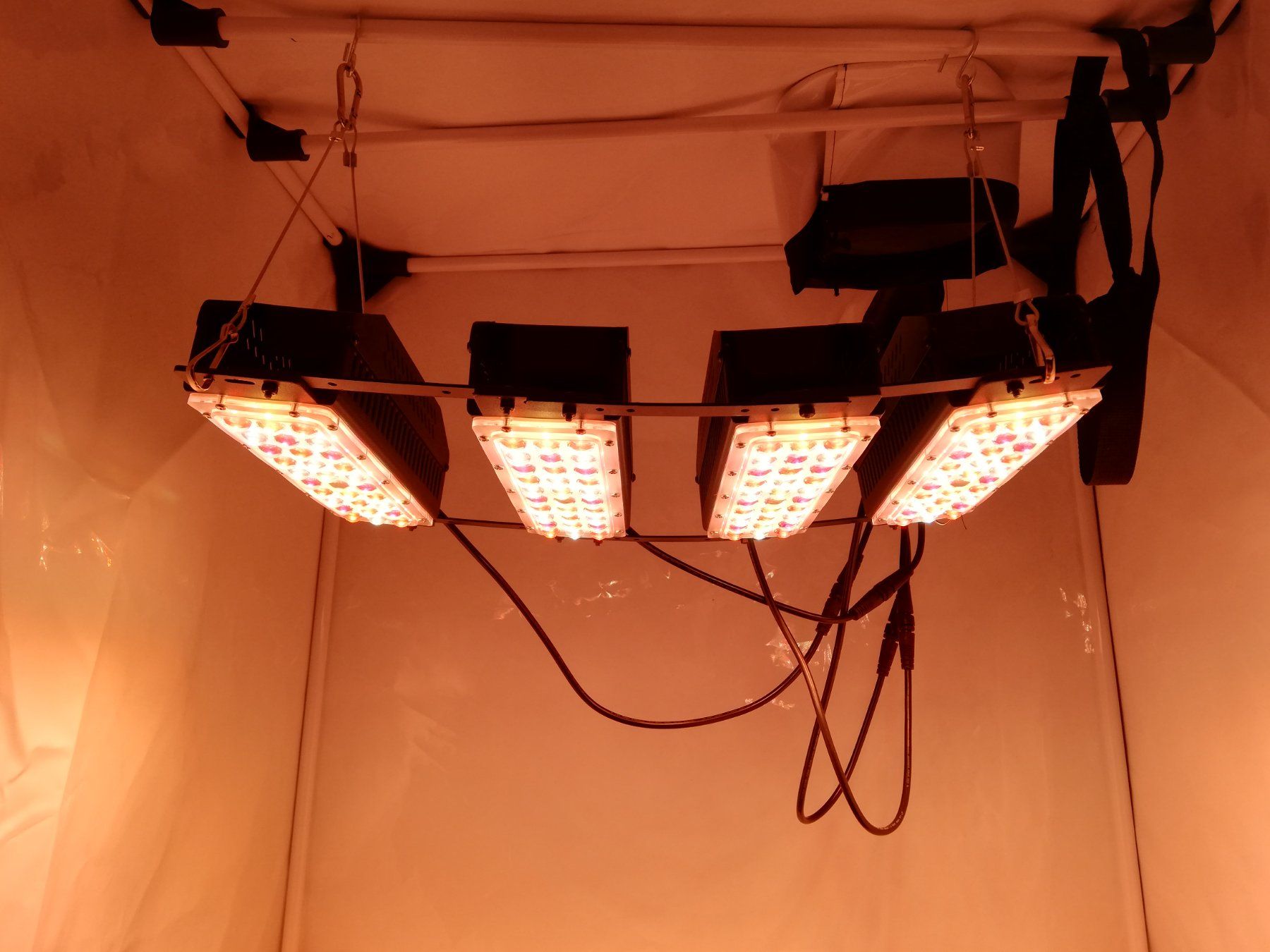 Lampen: LED GROWLIGHT 160 Watt – Neu und originalverpackt aus Jens von 196_b2xc 1