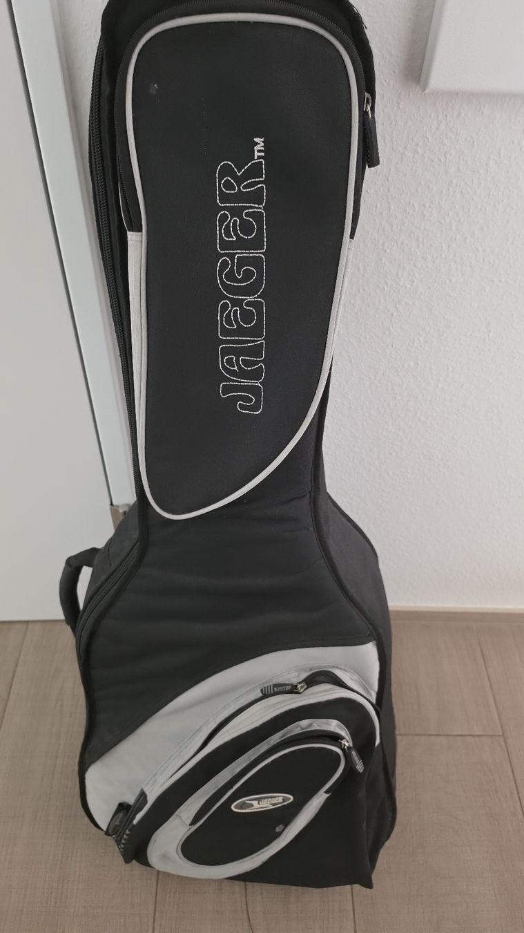 Ibanez Strumenti musicali: Ibanez LS-540AM Lonestar Rarität!! – Usato da Dornach venduto da Rubjo 5
