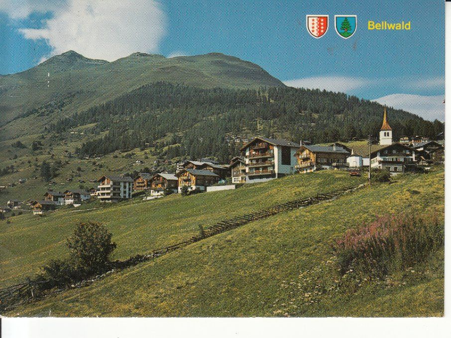 Cartoline postali: Bellwald 1977 – Usato da Bürglen TG venduto da StampGraf