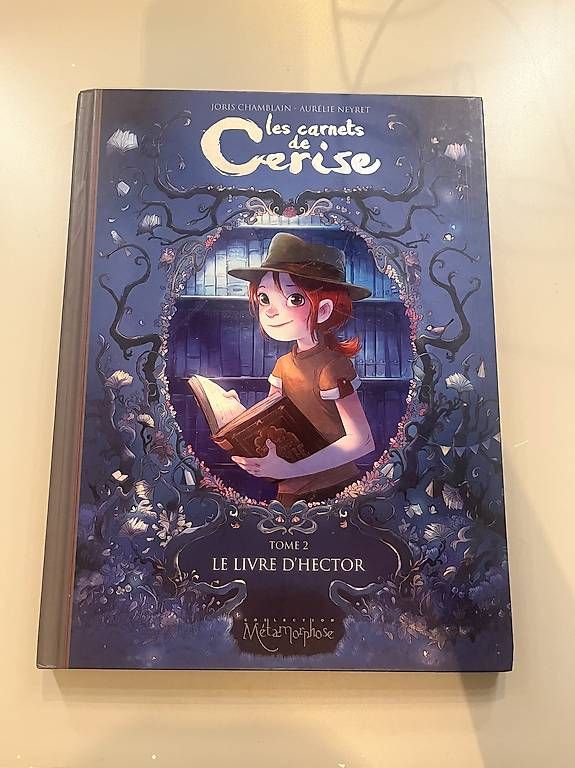 BD: Les carnets de cerise  – D'occasion à Chavannes-Renens par luc_52p8