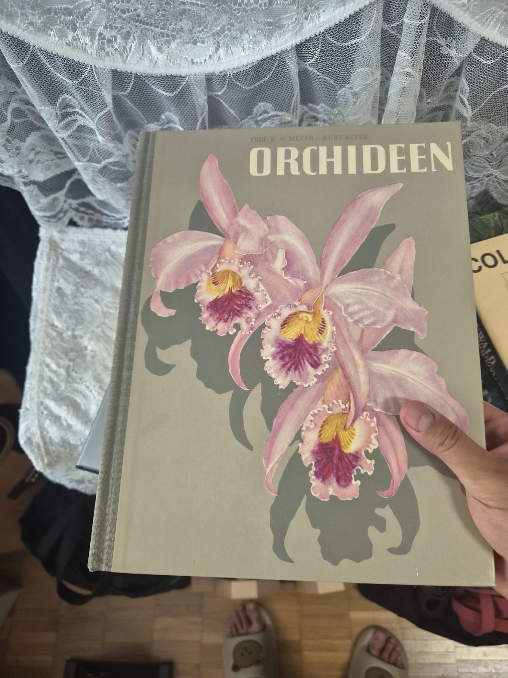 Libri: Orchideen Buch Meyer-Beyer guter Zustand – Nuovo (secondo la descrizione) da Bassersdorf venduto da Sport_4_life
