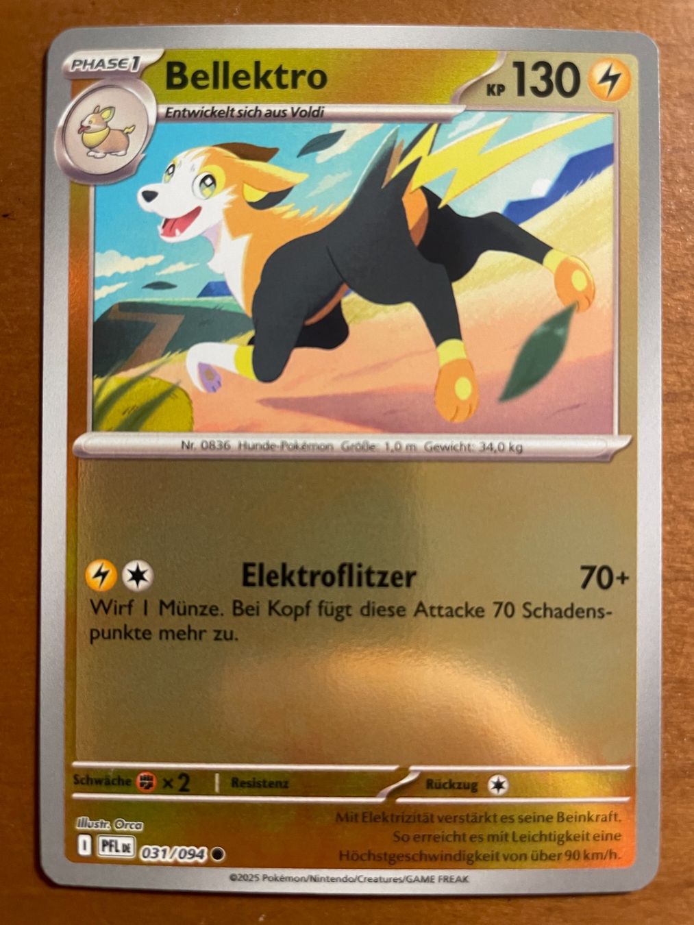 Pokémon Carte collezionabili: Pokemon Bellektro Reverse (Versand gratis) – Nuovo (secondo la descrizione) da Chur venduto da Angerson