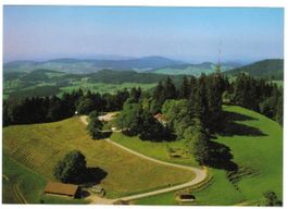 AK Restaurant Bachtel Kulm
