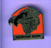TIERPARK BERN  Geier