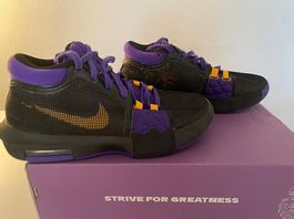 Nike Lebron Basket - T 42 - Très bon état