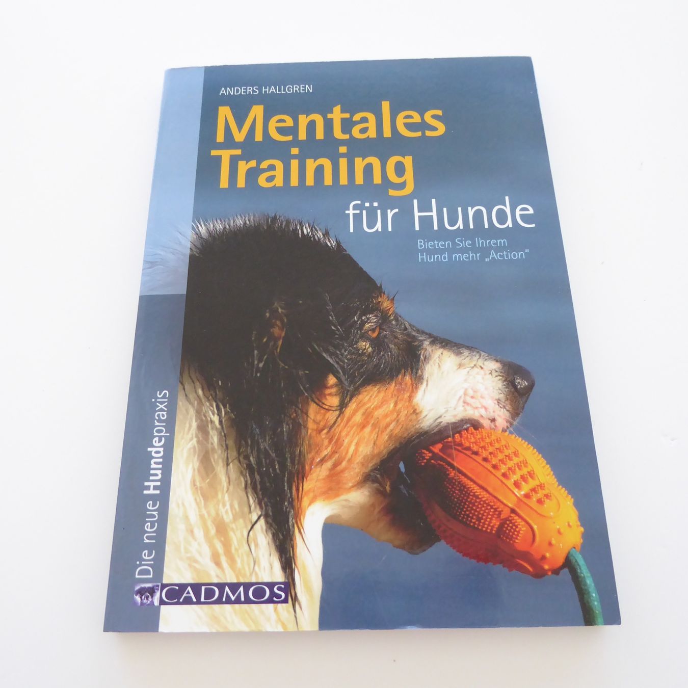 Libri: Mentales Training für Hunde – Usato da Basel venduto da Kunterbunt12