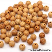 Holzperlen Rudraksha Nuss ⌀10mm. / 30 Stück lose