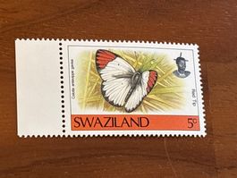 Swaziland Briefmarke, Schmetterling, 5c, ungebraucht! Top!