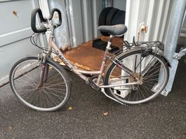 Velo Paket 10 stk.