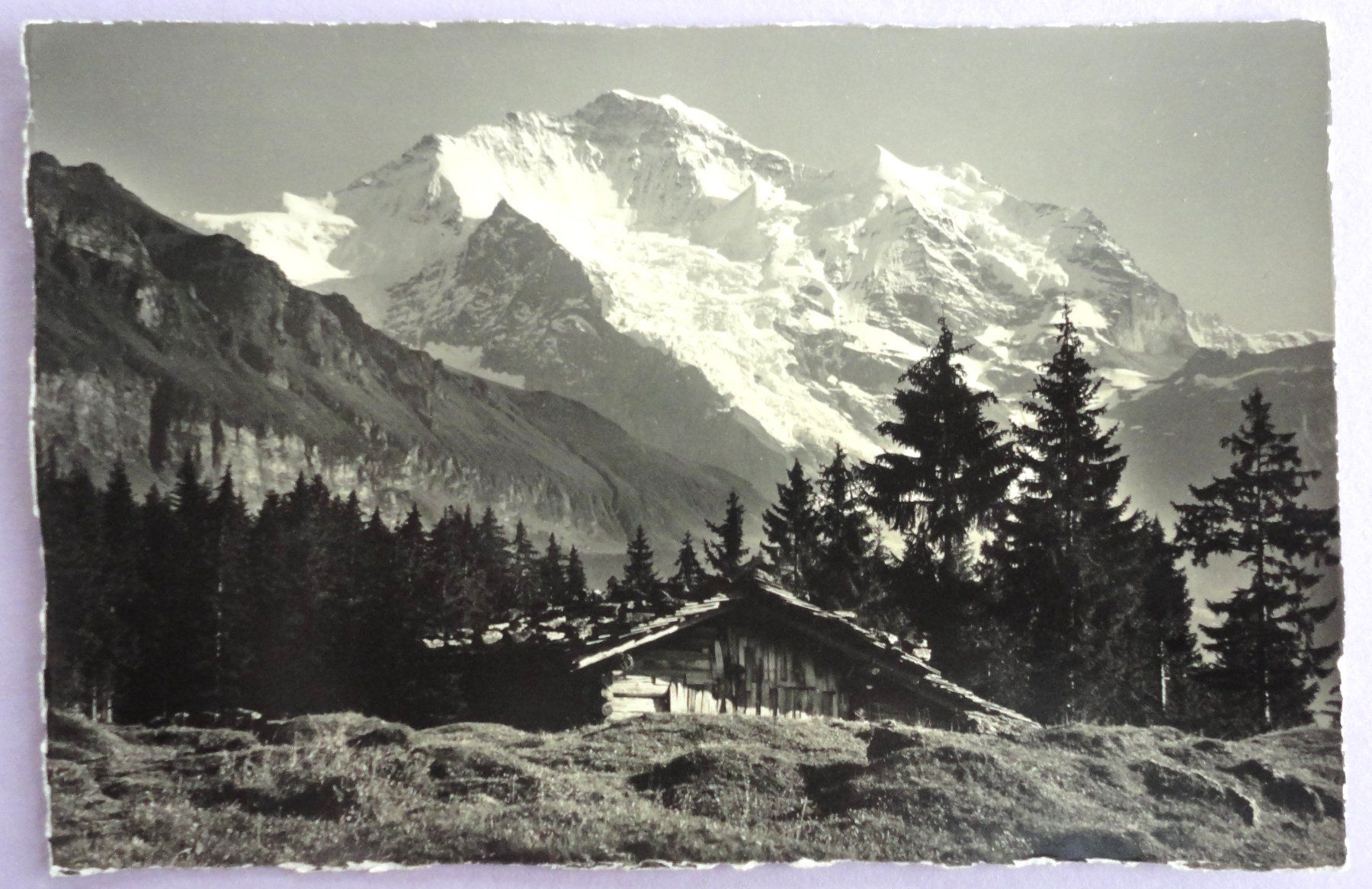Cartoline postali: Bei Wengen, Die Jungfrau – Usato da Fétigny venduto da Billy2miny