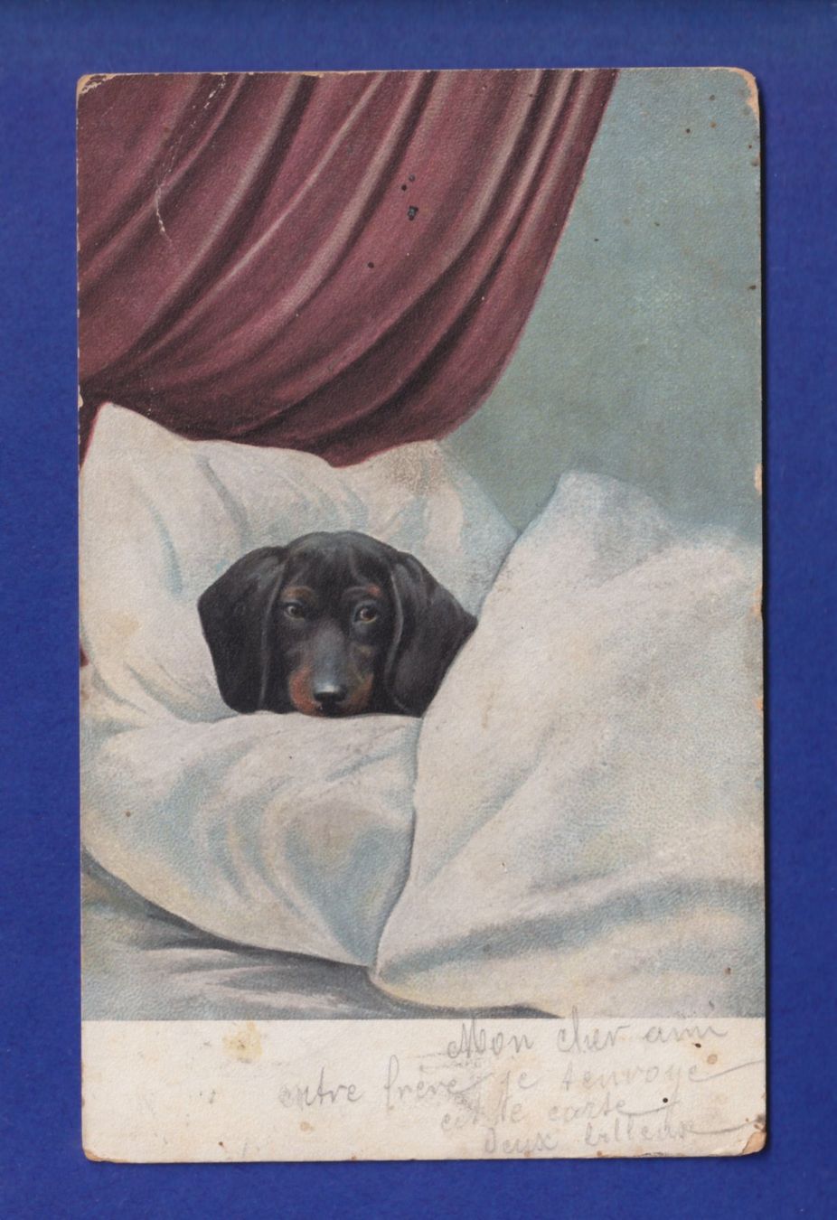 Cartes postales: CHIEN / HUND // pli // – D'occasion à Pully par nicecards-shop