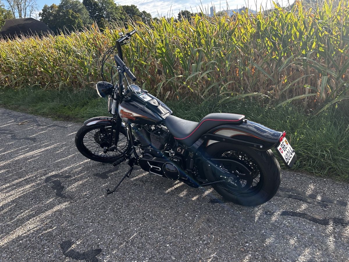 Harley-Davidson Chopper: Harley Davidson Bad Boy Springer – Usato da Ostermundigen venduto da Lexington_100 2