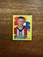 FIFA World Cup 2026 Erling Haaland Panini Sticker NOR 15