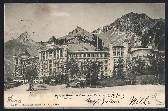 Cartoline postali: AK Caux, Palace Hotel, 1903 – Usato da Berlin venduto da bartko-reher