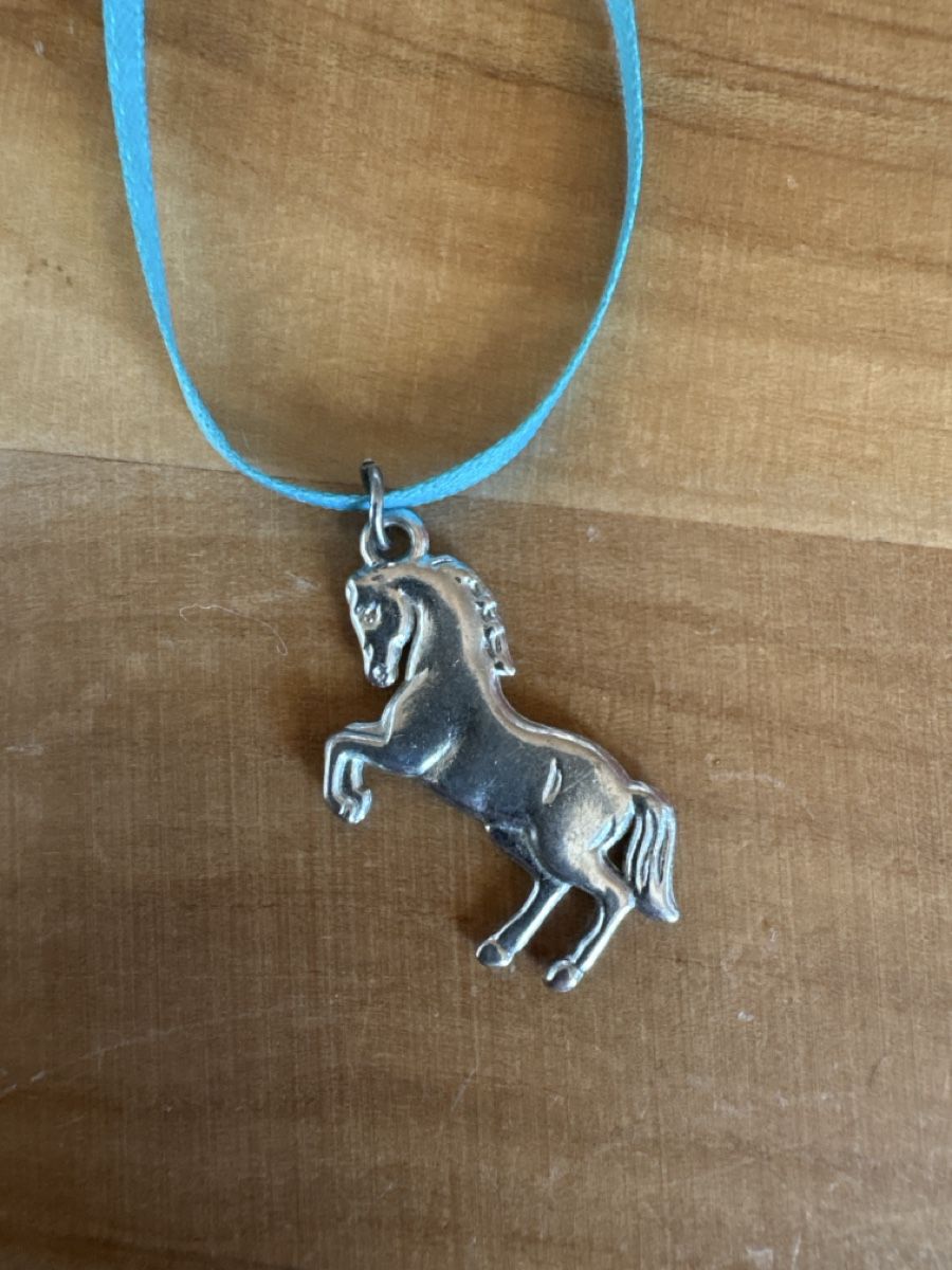 Catenine: Modeschmuck Kette mit Textil und Pferde Anhänger – Usato da Rümlang venduto da Sambas19 2