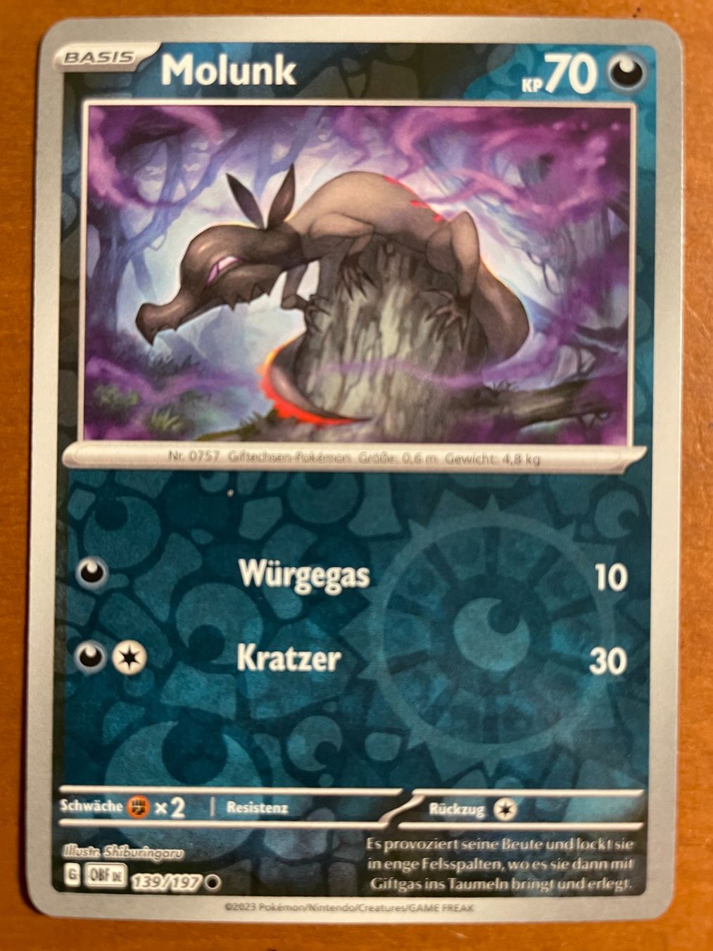 Pokémon Carte collezionabili: Pokemon Molunk Reverse (Versand gratis) – Nuovo (secondo la descrizione) da Chur venduto da Angerson
