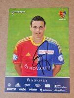 David Degen - FC Basel 2012/13