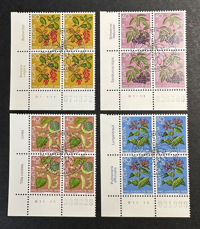 Lot De 12 Blocs De Courtepointe Vintage Jack Dempsey, Broderie Enfants Zoo