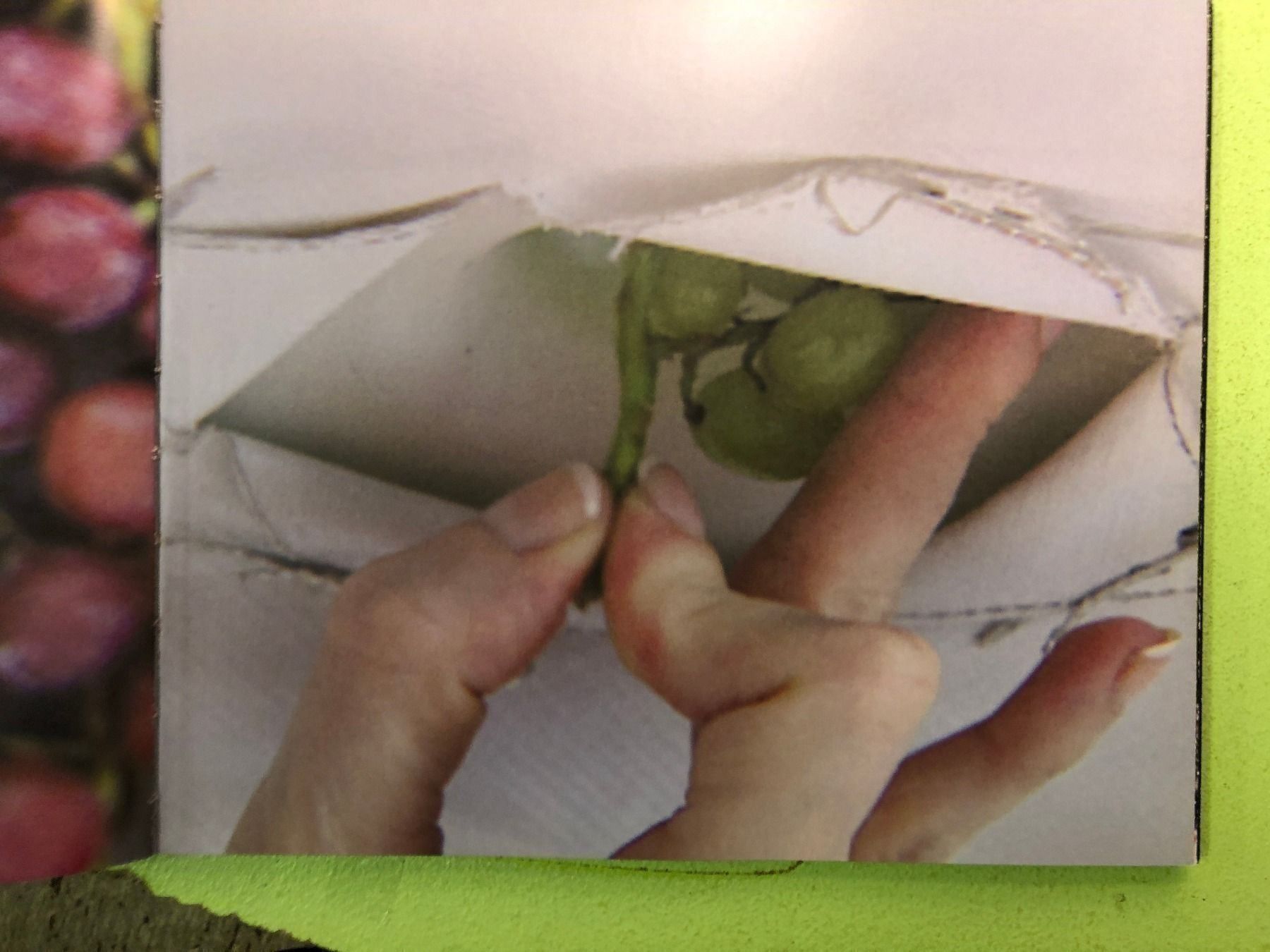 Libri: Matthew Barney: Cremaster 1. – Usato da Zürich venduto da allp 4