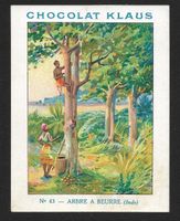 Carte Correspondance Chocolat Klaus, Arbre à Beurre (1930s)