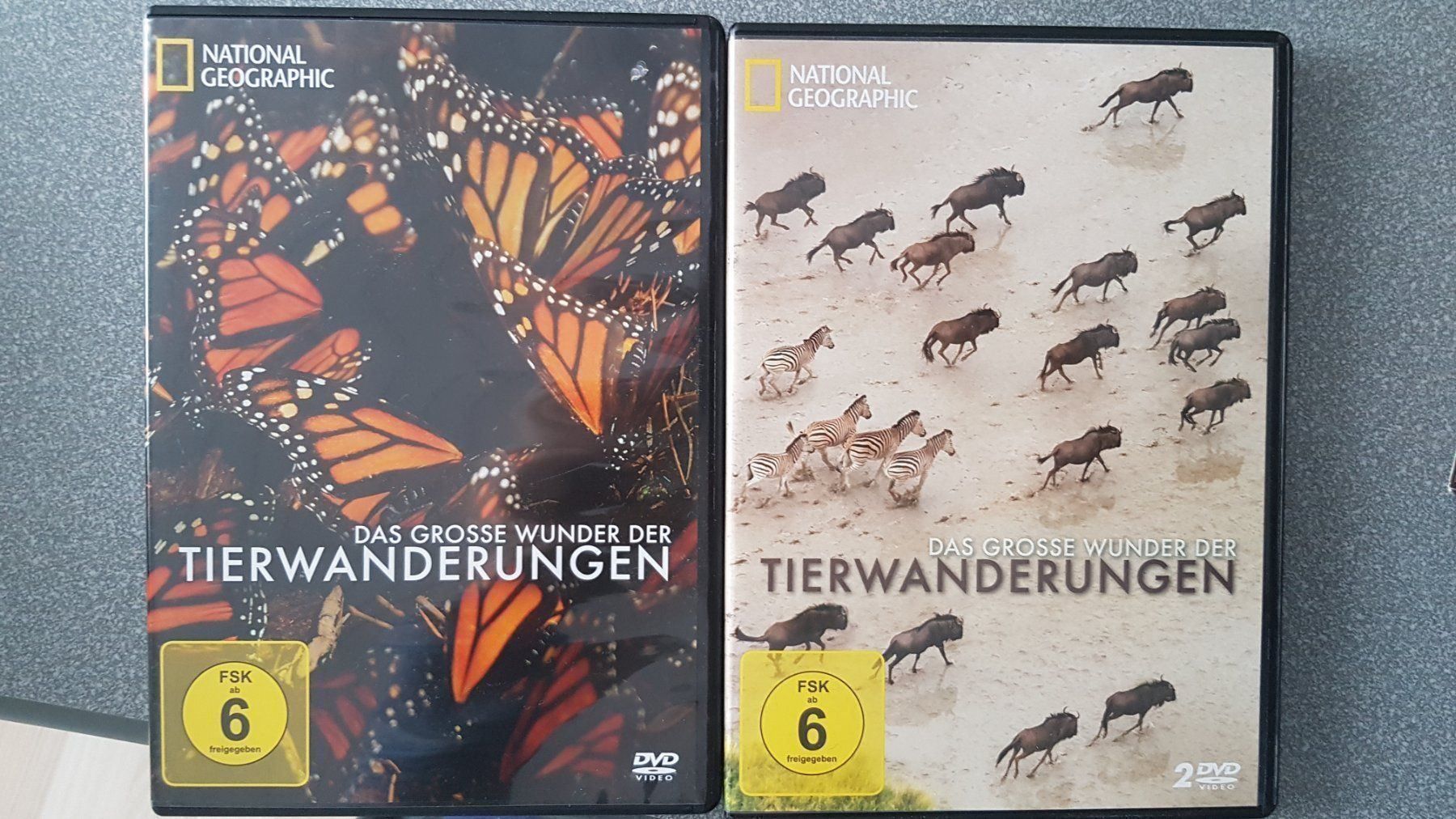 Tutti i DVDs: DVD Set Tierwanderungen – Usato da Oetwil am See venduto da fineli2